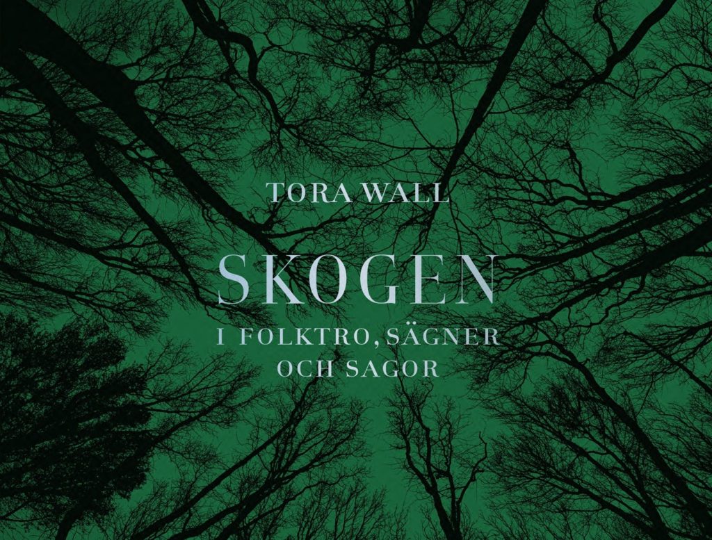 Skog fotad underifrån mot en grön himmel.